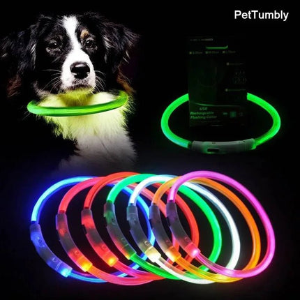 LED Pet Collar 3 Mode Anti-Lost USB Dog Collar - LED Pet Collar - Kajipet - Mad Fly Essentials