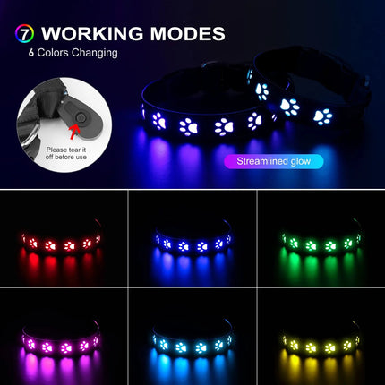 LED Pet Collar 7Mode USB Rechargeable Dog Collar - LED Pet Collar - Jtoeb - Mad Fly Essentials