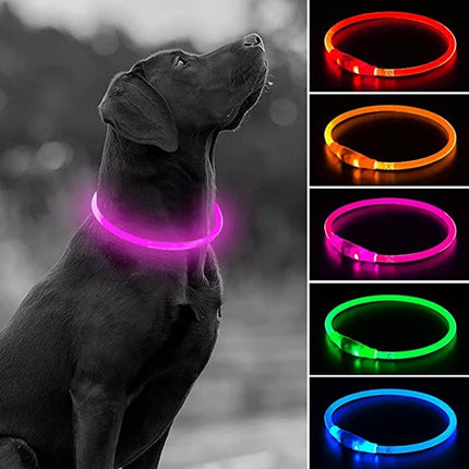 LED Pet Collar Luminous USB 3Mode-Loss Prevention Dog Collar - LED Pet Collar - Henkelion - Mad Fly Essentials