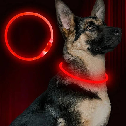 LED Pet Collar Luminous USB 3Mode-Loss Prevention Dog Collar - LED Pet Collar - Henkelion - Mad Fly Essentials