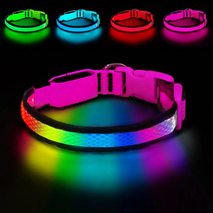 LED Pet Collar USB Rechargeable Pet Adjustable Cat Collar - LED Pet Collar - Kajipet - Mad Fly Essentials