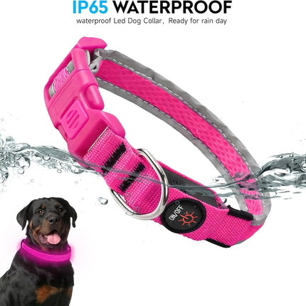 LED Pet Collar USB Rechargeable Pet Adjustable Cat Collar - LED Pet Collar - Kajipet - Mad Fly Essentials