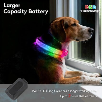 LED Pet Collar USB Rechargeable Pet Adjustable Cat Collar - LED Pet Collar - Kajipet - Mad Fly Essentials