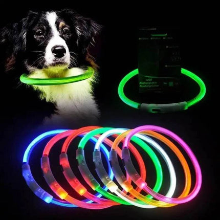 USB Charging Luminous Dog LED Pet Collar - Mad Fly Essentials