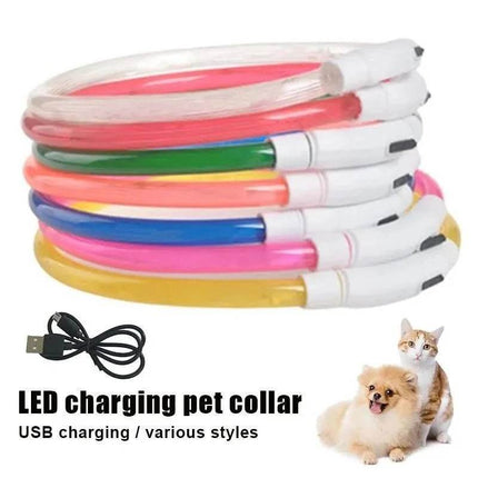 USB Charging Luminous Dog LED Pet Collar - LED Pet Collar - Pet Essentials - Mad Fly Essentials