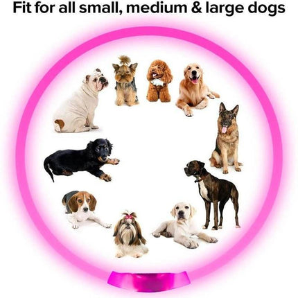 USB Charging Luminous Dog LED Pet Collar - LED Pet Collar - Pet Essentials - Mad Fly Essentials