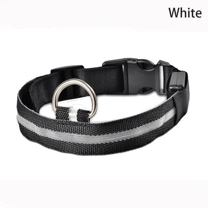 Leopard Dog Luminous Adjustable LED Pet Collar - LED Pet Collar - KAJIPET - Mad Fly Essentials