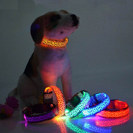 Leopard Dog Luminous Adjustable LED Pet Collar - LED Pet Collar - KAJIPET - Mad Fly Essentials