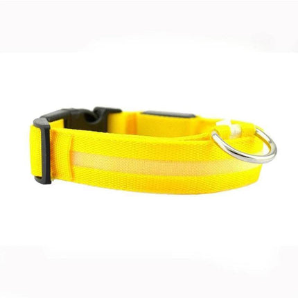 Leopard Dog Luminous Adjustable LED Pet Collar - LED Pet Collar - KAJIPET - Mad Fly Essentials
