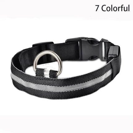 Leopard Dog Luminous Adjustable LED Pet Collar - LED Pet Collar - KAJIPET - Mad Fly Essentials