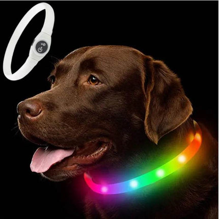 Luminous Waterproof Dog LED Pet Collar - LED Pet Collar - Henkelion - Mad Fly Essentials