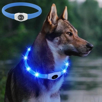 Luminous Waterproof Dog LED Pet Collar - Mad Fly Essentials