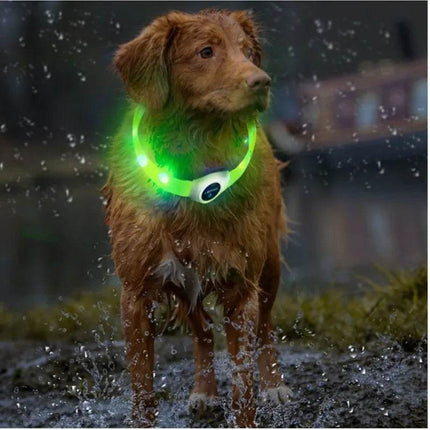 Luminous Waterproof Dog LED Pet Collar - LED Pet Collar - Henkelion - Mad Fly Essentials