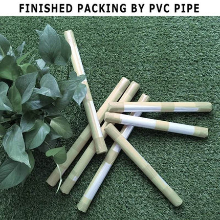 Mythological Fantasy Phoenix Abstract Canvas Print Wall Decor - Wall Decor - hdprints - Mad Fly Essentials