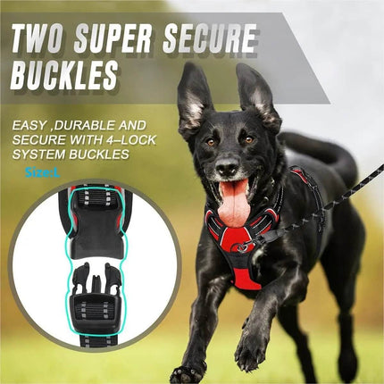 No Pull Dog Front Clip Harness Pet Essentials - Pet Essentials - AE Pets - Mad Fly Essentials