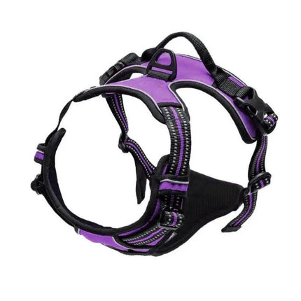No Pull Dog Front Clip Harness Pet Essentials - Pet Essentials - AE Pets - Mad Fly Essentials