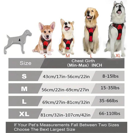 No Pull Dog Front Clip Harness Pet Essentials - Pet Essentials - AE Pets - Mad Fly Essentials