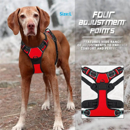No Pull Dog Front Clip Harness Pet Essentials - Pet Essentials - AE Pets - Mad Fly Essentials