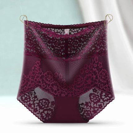 Panties Women Lace Design Lingerie Briefs - Panties - Sexy Intimates - Mad Fly Essentials