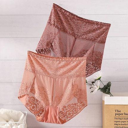 Panties Women Lace Design Lingerie Briefs - Panties - Sexy Intimates - Mad Fly Essentials