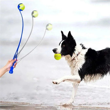 Pet Essentials Ball Launcher Set Dog Toys - Pet Essentials - Legendog - Mad Fly Essentials