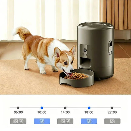 Pet Essentials Cat Dog WIfi Auto Pet Feeder Dog Supplies - Pet Essentials - ZYfeeder - Mad Fly Essentials