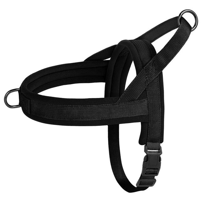 Pet Essentials Dog Collar Lead Vehicle Seatbelt Safety Harness - Pet Essentials - IDEPET - Mad Fly Essentials