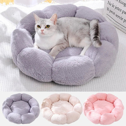 Pet Essentials Flower Beds Dog Cat Indoor Outdoor Mat - Pet Essentials - PETLOVEY - Mad Fly Essentials