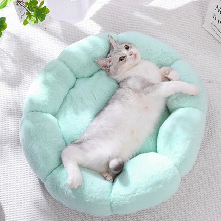 Pet Essentials Flower Beds Dog Cat Indoor Outdoor Mat - Pet Essentials - PETLOVEY - Mad Fly Essentials