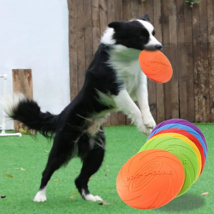 Pet Essentials Flying Saucer Dog Training Toy Discs - Pet Essentials - Dog - o - Soar - Mad Fly Essentials