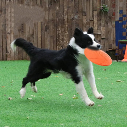 Pet Essentials Flying Saucer Dog Training Toy Discs - Pet Essentials - Dog - o - Soar - Mad Fly Essentials