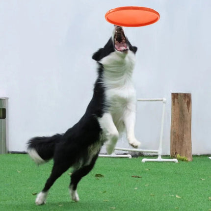 Pet Essentials Flying Saucer Dog Training Toy Discs - Pet Essentials - Dog - o - Soar - Mad Fly Essentials