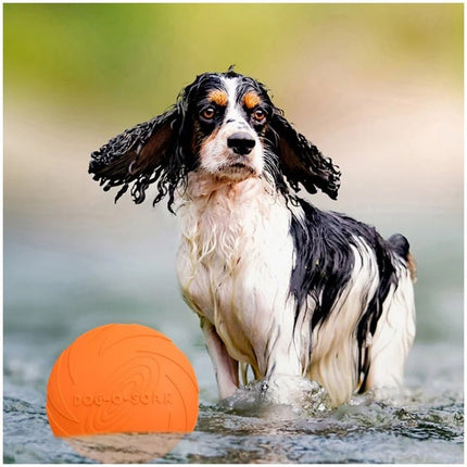 Pet Essentials Flying Saucer Dog Training Toy Discs - Pet Essentials - Dog - o - Soar - Mad Fly Essentials
