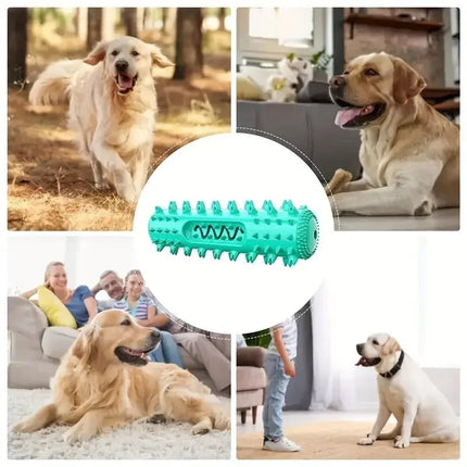 Pet Essentials HOOPET Dog Rubber Interactive Chew Toy - Pet Essentials - Mr Meow Hoopet - Mad Fly Essentials
