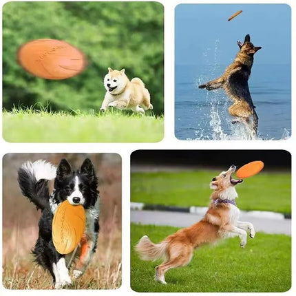 Pet Essentials Interactive Dog Puppy Training Disks - Pet Essentials - Dog-o-Soar - Mad Fly Essentials