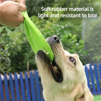 Pet Essentials Interactive Dog Puppy Training Disks - Pet Essentials - Dog-o-Soar - Mad Fly Essentials