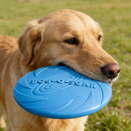 Pet Essentials Interactive Dog Puppy Training Disks - Pet Essentials - Dog-o-Soar - Mad Fly Essentials