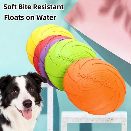 Pet Essentials Interactive Dog Puppy Training Disks - Pet Essentials - Dog-o-Soar - Mad Fly Essentials