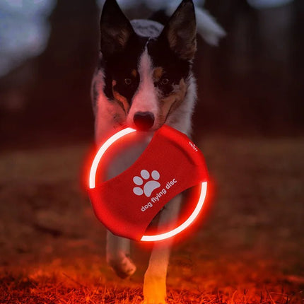 Pet Essentials LED Charging Luminous Dog Frisbee Toy - Pet Essentials - Dog - o - Soar - Mad Fly Essentials