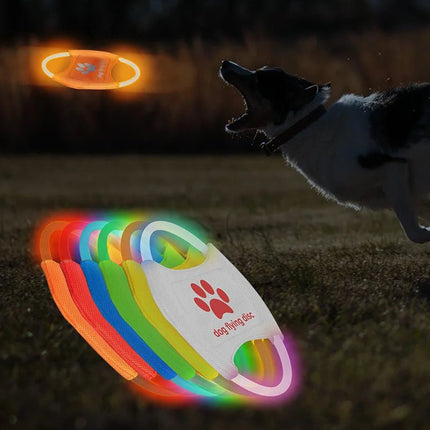 Pet Essentials LED Charging Luminous Dog Frisbee Toy - Pet Essentials - Dog - o - Soar - Mad Fly Essentials