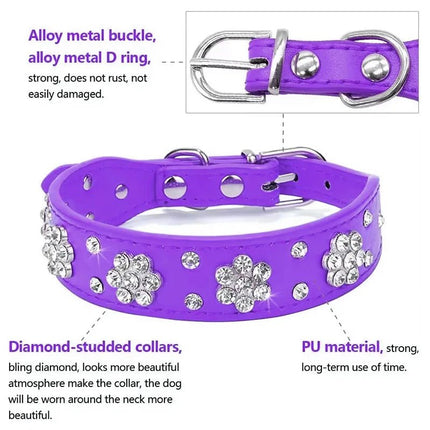 Pet Essentials Rhinestone Dog Collar - Pet Essentials - Smart Cat - Mad Fly Essentials