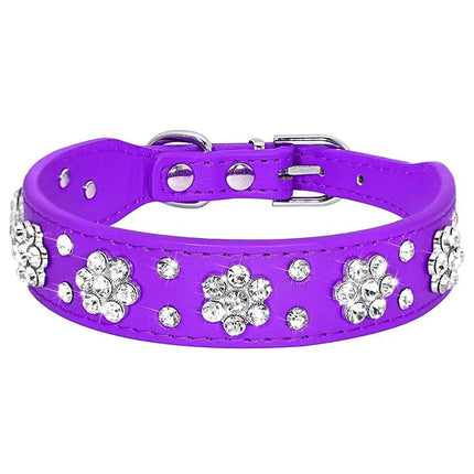 Pet Essentials Rhinestone Dog Collar - Pet Essentials - Smart Cat - Mad Fly Essentials