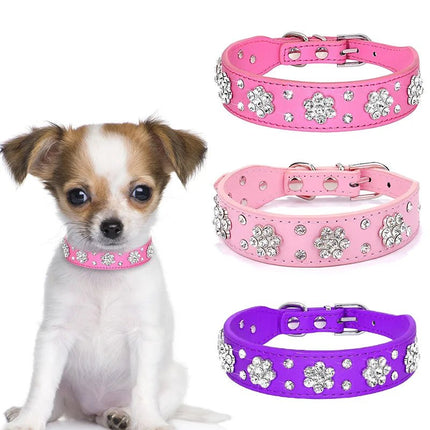 Pet Essentials Rhinestone Dog Collar - Pet Essentials - Smart Cat - Mad Fly Essentials