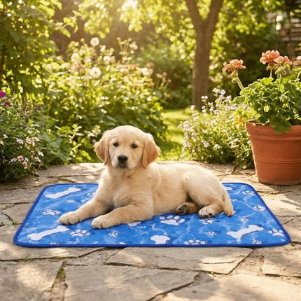 Pet Essentials Square Summer Dog Pad Cat Mat - Pet Essentials - Muttering Bear - Mad Fly Essentials