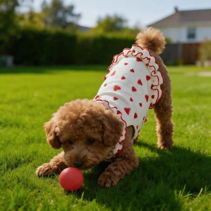 Pet Hoodies Red Heart Ruffled Dresses Dog Supplies Pet Apparel - Pet Hoodies - XLeiPet - Mad Fly Essentials
