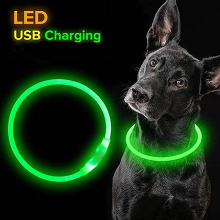 Luminous USB 3Mode - Loss Prevention Dog LED Pet Collar - LED Pet Collar - Party Essentials - Mad Fly Essentials