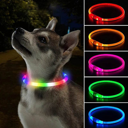 Luminous USB 3Mode-Loss Prevention Dog LED Pet Collar - Mad Fly Essentials