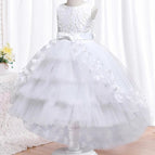 as picture 12