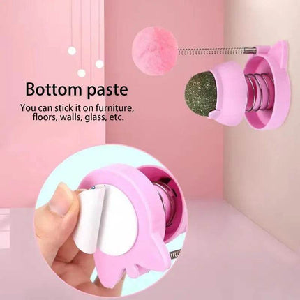 Rotatable Cat Catnip Ball Toys Pet Essentials - Pet Essentials - Legendog - Mad Fly Essentials