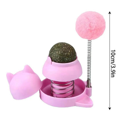 Rotatable Cat Catnip Ball Toys Pet Essentials - Pet Essentials - Legendog - Mad Fly Essentials